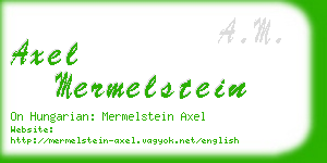 axel mermelstein business card